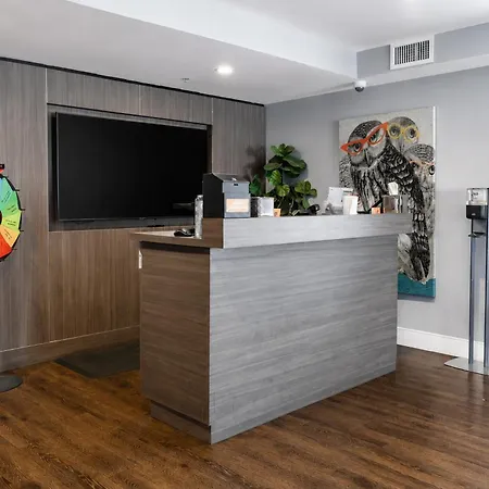 Oasis At Gold Spike (Adults Only)-2